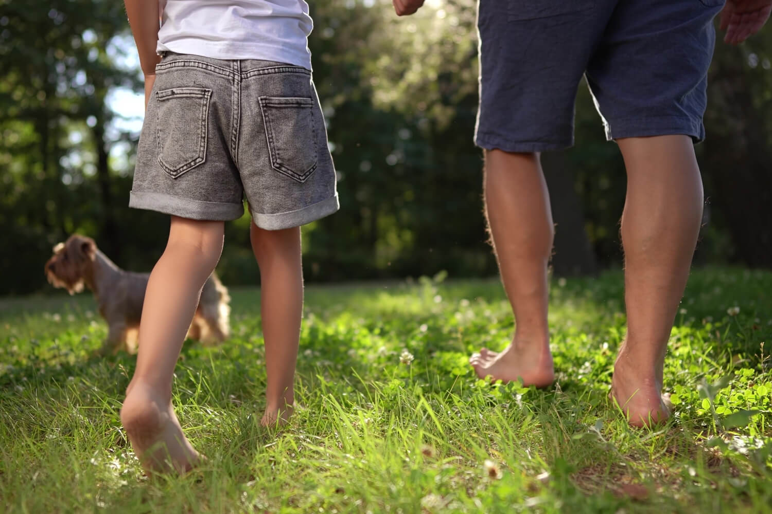 Foot Health Myths Debunked