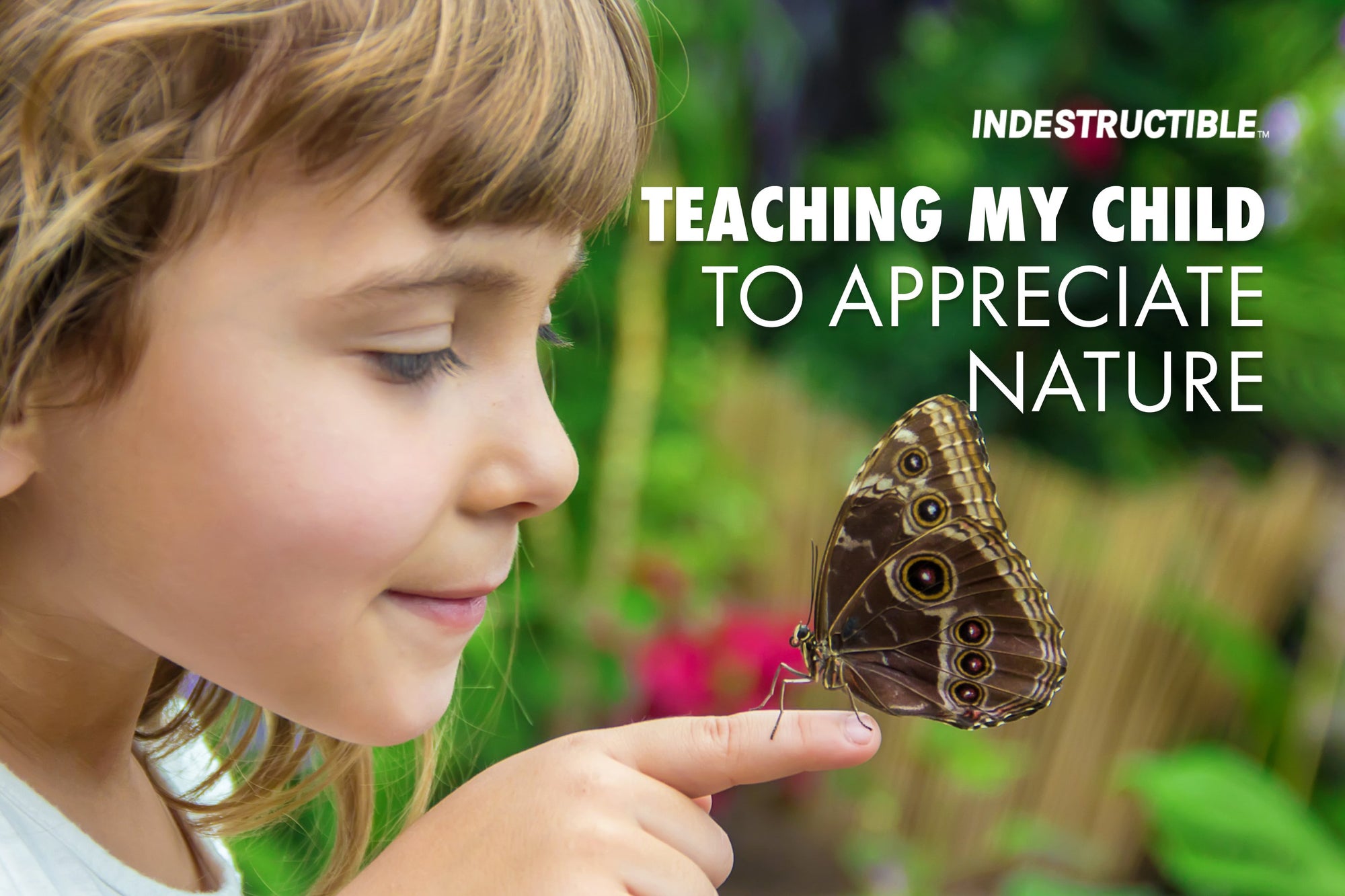 How I Taught My Daughter to Appreciate Nature