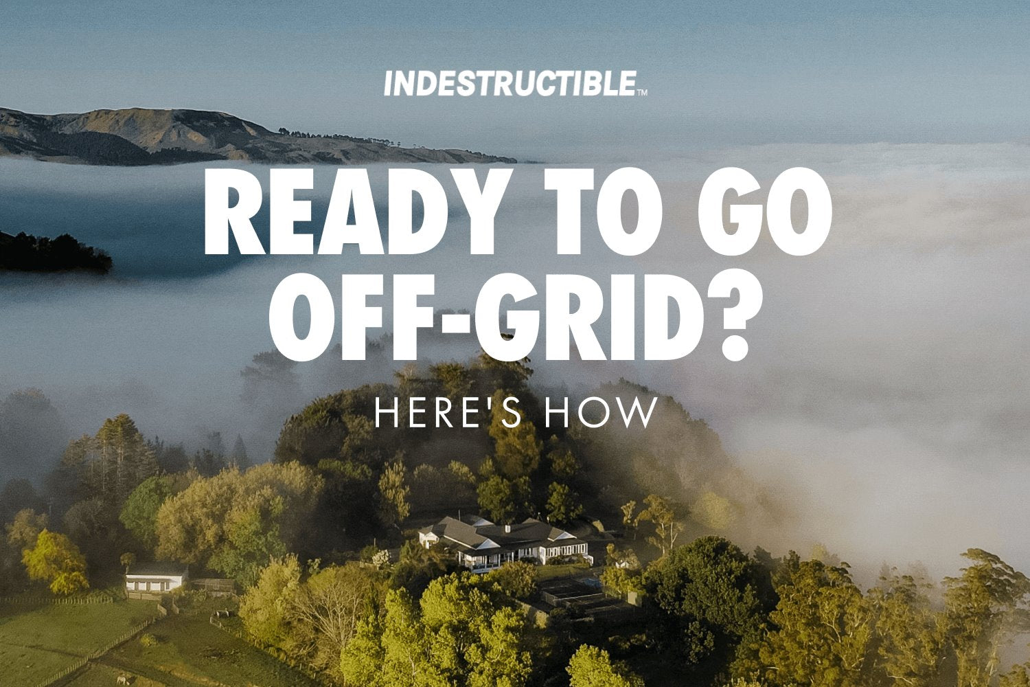 How to Live Off the Grid: The Basics of Sustainable Single-Living